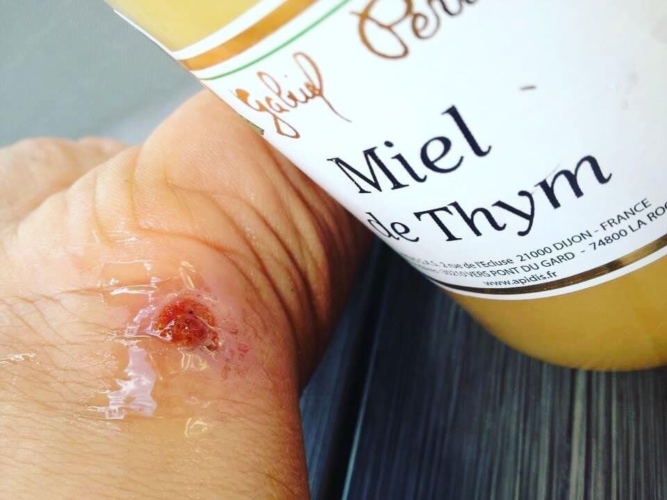 Attraper des souris la nature au coeur Attraper des souris la nature au coeur