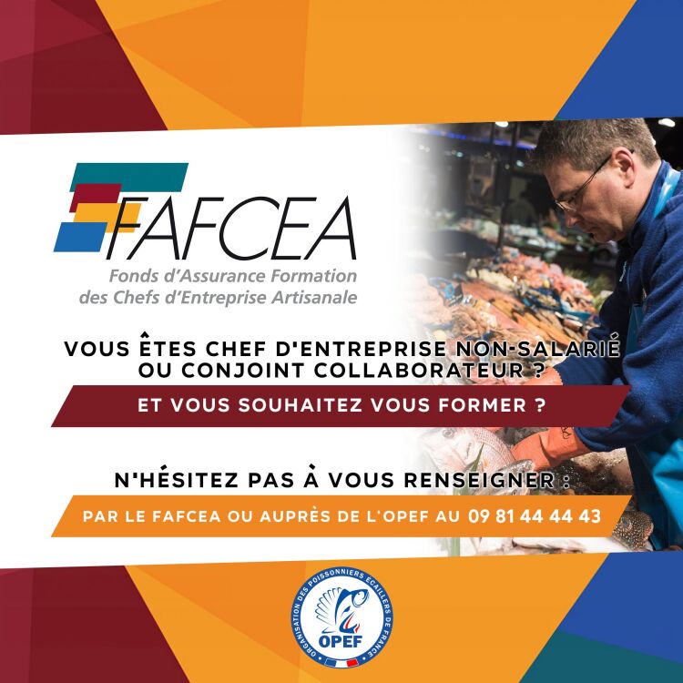 FAFCEA pour les chefs d'entreprise non-salariés ou conjoints collaborateurs