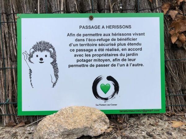 Eco-refuge de la Douaye, passage à hérissons, trame verte Eco-refuge de la Douaye, passage à hérissons, trame verte